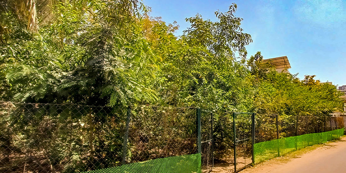 Miyawaki Forest India