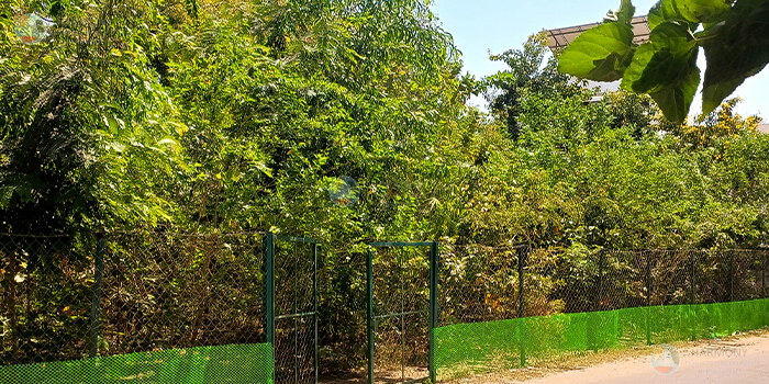 Miyawaki urban forest