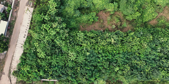 corporate sustainability India