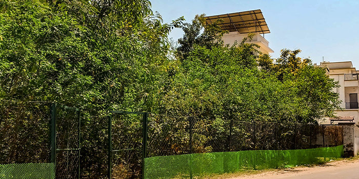 Urban forest